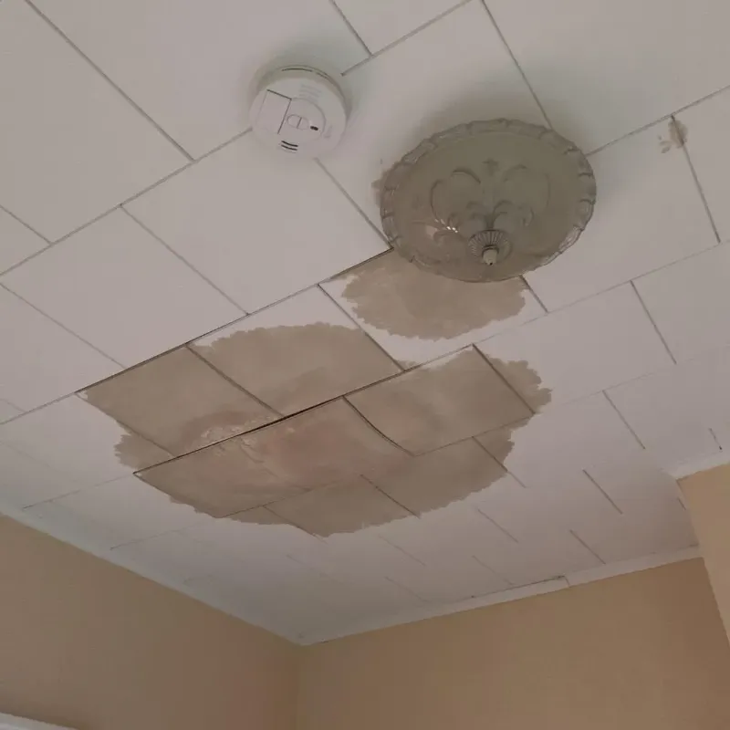Ceiling Water Damage Repair in Rockwall, TX